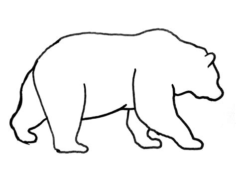 Grizzly Bear Pencil Drawing Free Download On Clipartmag