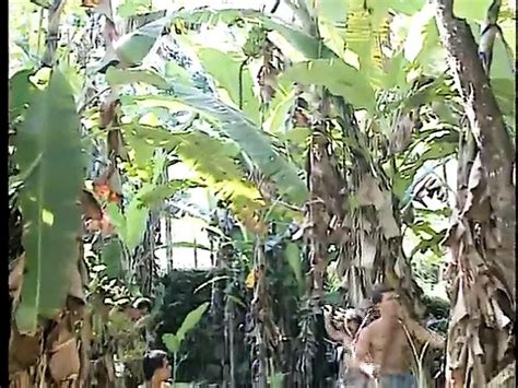 Vídeos Porno de Selva Películas de Sexo XXX gay Gratis 2025 xHamster