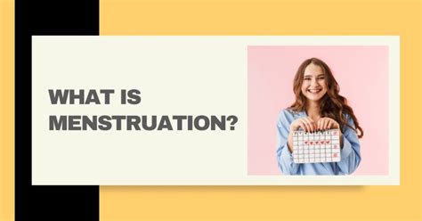 menstruation  comprehensive guide   women