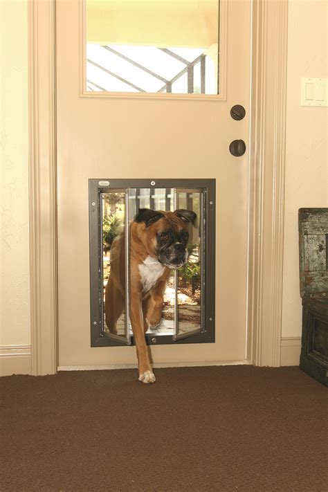 Our Xl Plexidor Door Series Doggie Doors Are Great For Large And Giant