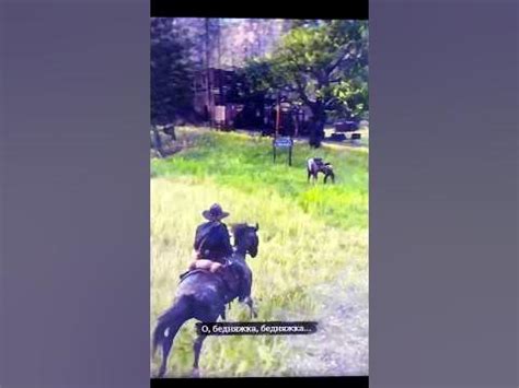 Бедняжка!! - YouTube