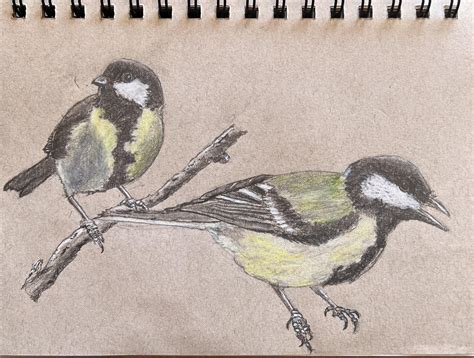 Different Sized Tits By Popular Demand R Sketches