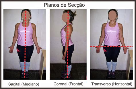 Biomecânica Introdução eixo e planos Resumo Fisio