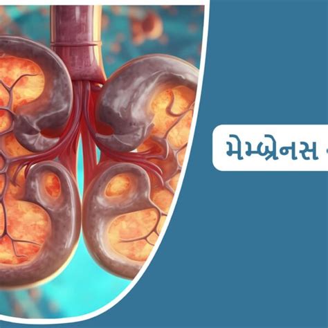 IgA Nephropathy Overview | Alfa Kidney Care