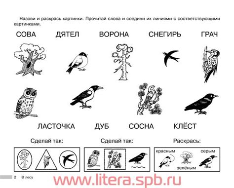 Альбом для профилактики дисграфии. Визуальные ряды