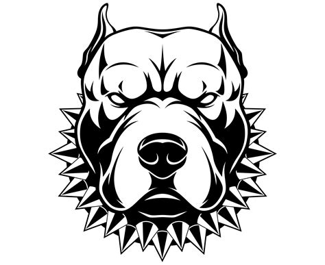 Pitbull Dog Drawing At Explore Collection Of