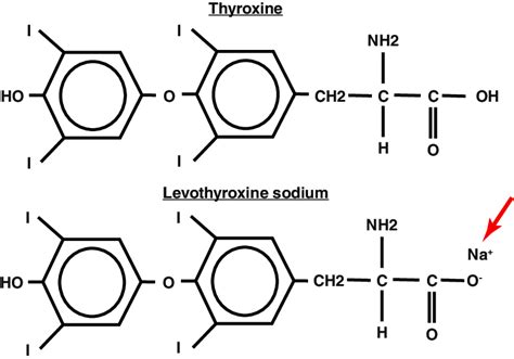 1 Molecular Structures Of Thyroxine And Levothyroxine Sodium Ref 2