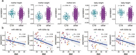 Variation Of MicroRNA Expression In The Human Placenta Driven By Population Identity And Sex Of