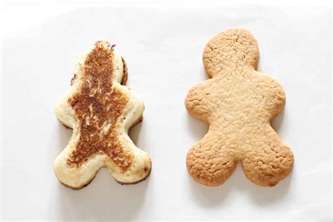 Why the Human Body Needs Both Muscles and Bones