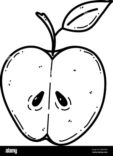 Vector Apple Doodle Illustration Fruit Illustration For Farm Market