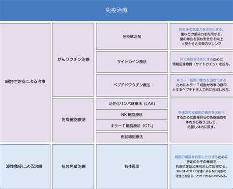 免疫細胞療法高活性化nk細胞療法 がん治療 自由診療 リバーシティクリニック東京 東京都中央区佃・月島