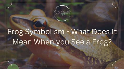 Frog Symbolism - What Does It Mean When you See a Frog?