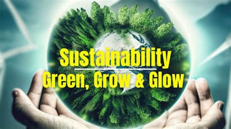 3 Powerful Steps To Sustainability Embracing Green Grow And Glow For