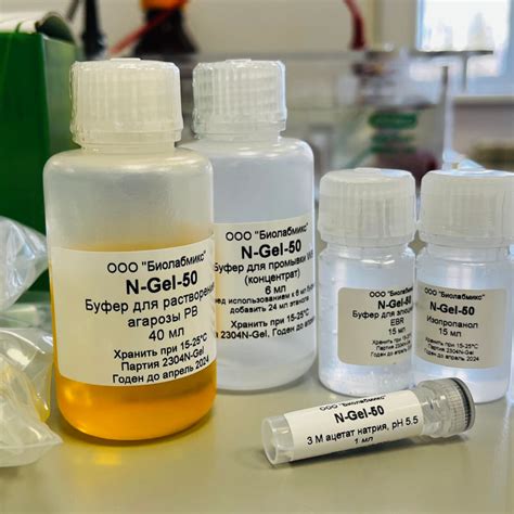 Набор N-Gel для выделения ДНК и РНК из агарозного геля купить по ...