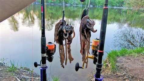Рыбалка на сома в апреле, ловля на выползка. Немного про снасти и ...