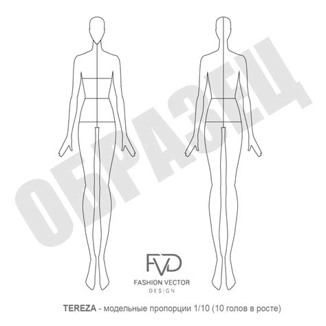 Купить Шаблон женской фигуры с модельными пропорциями - TEREZA ...