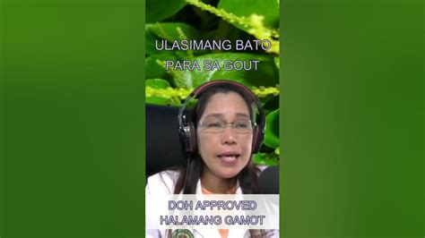 ULASIMANG BATO | HERBS | PH #shorts - YouTube