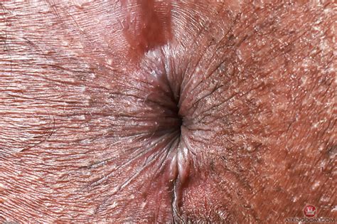 ATK Exotics Featuring Lily Starfire Hot Pictures CoedCherry