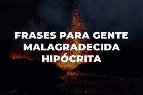 Descubre Las Mejores Frases Para Lidiar Con Gente Malagradecida E