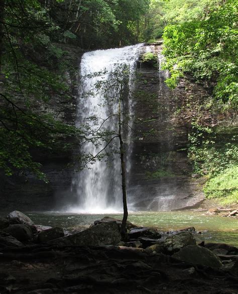 Cloudland Waterfall Photograph By Donnis Crowe Fine Art America