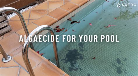 Algaecide For Your Pool How Much Do You Need To Add How To Use It An