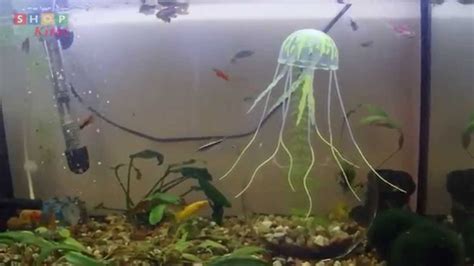 "Медуза для аквариума" | Распаковка! | Aliexpress | #24 - YouTube