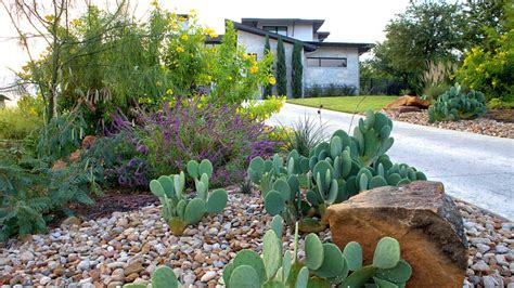 Xeriscape Landscape Design Explained