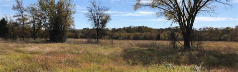 Deer Mouse Trail 131 Reviews Map Texas Alltrails