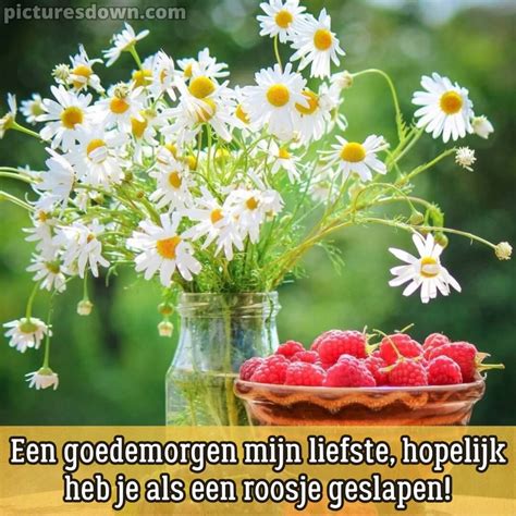 Goedemorgen Lieverd Plaatje Frambozen