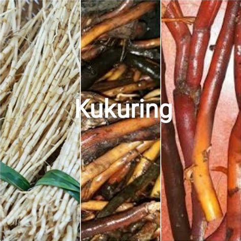 Jual Murah Paket Lengkap Akar Pohon Kelapa Akar Aren Dan Akar Alang