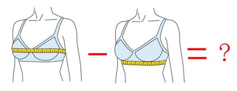 3 размер бюста как выглядит фото