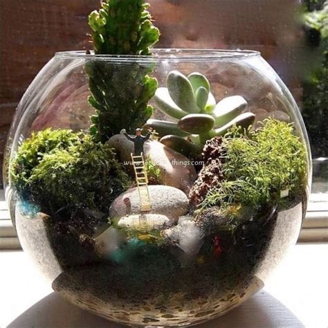 44 Stunning Diy Terrariums Design Ideas 44