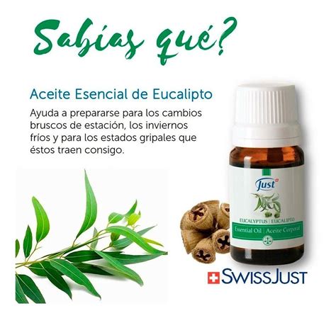 Aceite Esencial De Eucalipto Ml Just Producto Original Mundo Natural