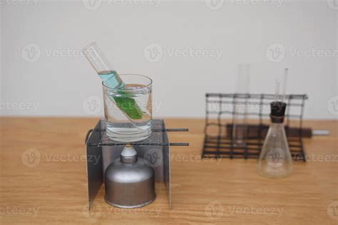 Science experiment about extract chlorophyll by boiling leaf in test