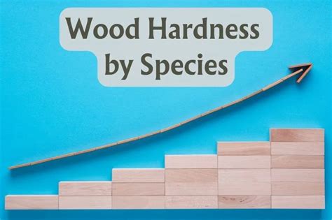 Janka Wood Hardness By Species 25 Best For Woodworkers