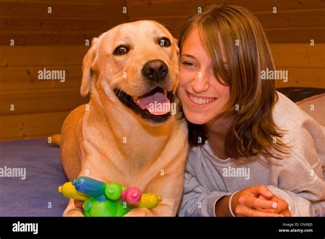 Labrador Retriever Canis Lupus F Familiaris Lying Next Girl On Bed