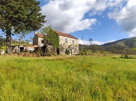 Quintas e casas rústicas Quinta T0 à venda em Linhares SUPERCASA