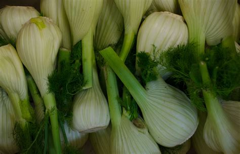 Bio Fenchel Kiste | SW12029
