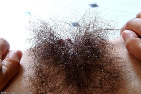 Voluptuous Hairy Latina Pussy XXX Dessert Picture