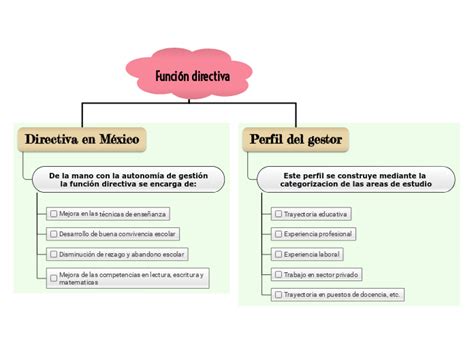 Funci N Directiva Mind Map