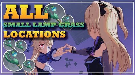 All 86 Small Lamp Grass Locations Detailed Fast And Efficient Route