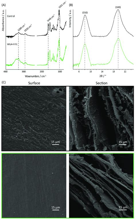 Structural And Morphological Analyses Of The Matrix A FTIR B XRD