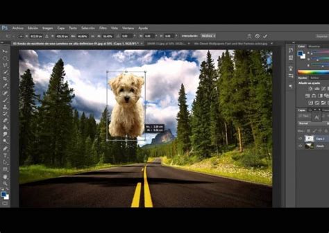 How To Make A Professional Photomontage In Photoshop Step By Step