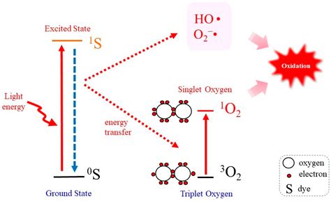 Molecules | Free Full-Text | Biological Action of Singlet Molecular ...