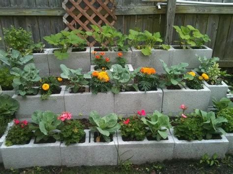 15 Creative Cinder Block Raised Garden Beds Garden Lovers Club