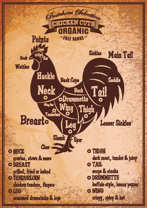 Cuts Of Chicken With Diagram Chicken Meat Cuts Diagram Butch