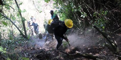 Conred mantiene apoyo 16 incendios forestales activos en el país