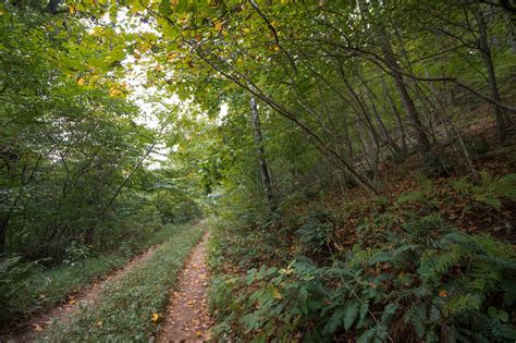 Rapidan Virginia Dwr