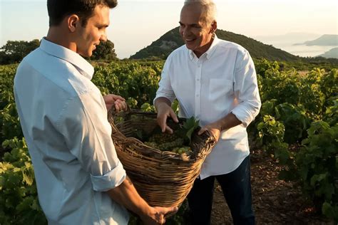 The Muscat Vineyards