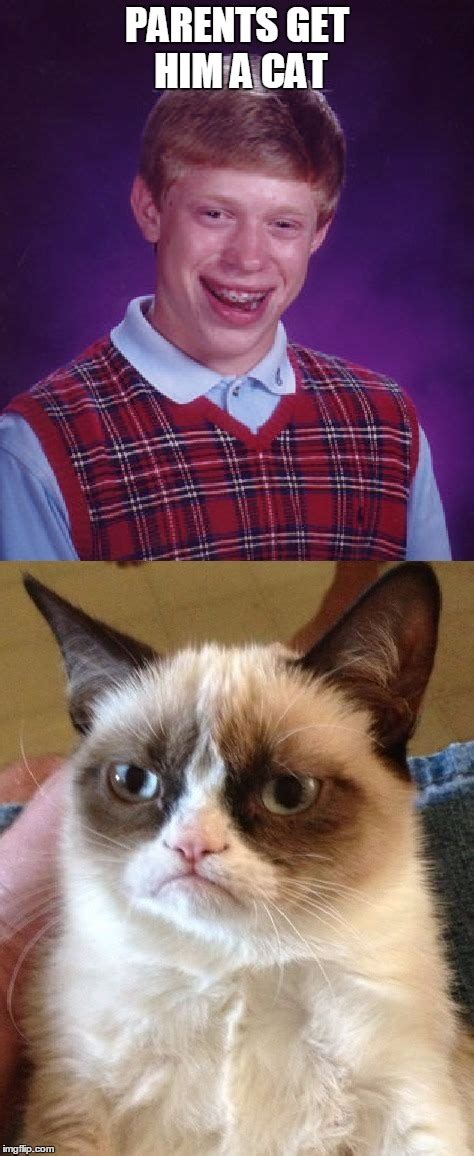 Bad Luck Brian Gets A Cat Imgflip